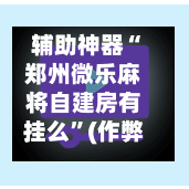 辅助神器“郑州微乐麻将自建房有挂么	”(作弊)辅助透视教程-第3张图片