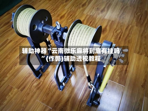 辅助神器“云南微乐麻将到底有挂吗”(作弊)辅助透视教程-第3张图片