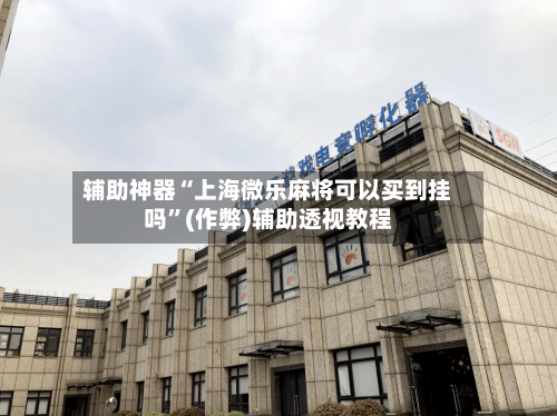 辅助神器“上海微乐麻将可以买到挂吗”(作弊)辅助透视教程-第2张图片