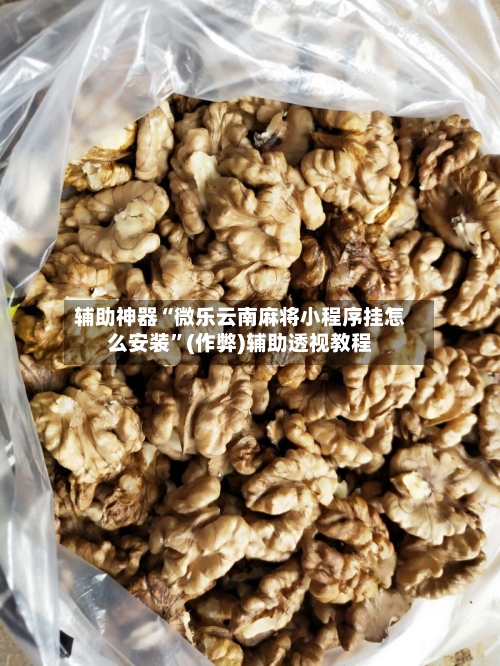 辅助神器“微乐云南麻将小程序挂怎么安装”(作弊)辅助透视教程-第2张图片