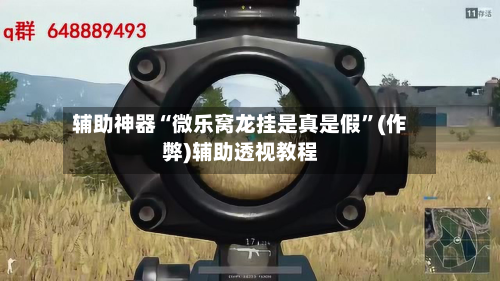 辅助神器“微乐窝龙挂是真是假”(作弊)辅助透视教程-第2张图片