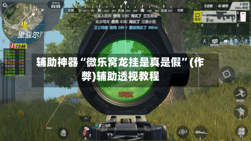 辅助神器“微乐窝龙挂是真是假”(作弊)辅助透视教程-第3张图片