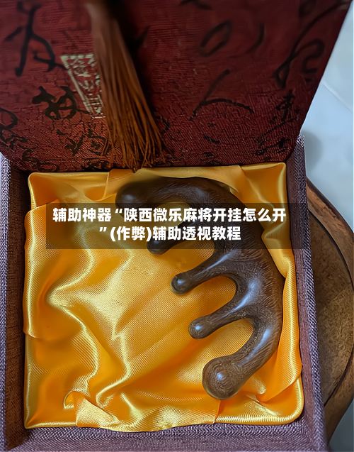 辅助神器“陕西微乐麻将开挂怎么开”(作弊)辅助透视教程