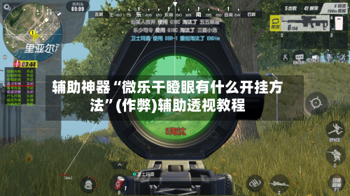 辅助神器“微乐干瞪眼有什么开挂方法”(作弊)辅助透视教程