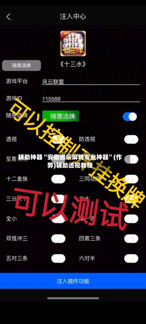 辅助神器“安徽微乐麻将专业神器”(作弊)辅助透视教程-第3张图片