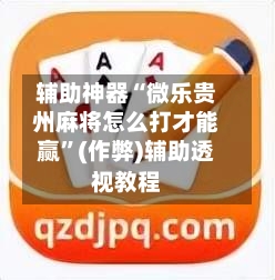 辅助神器“微乐贵州麻将怎么打才能赢”(作弊)辅助透视教程-第3张图片