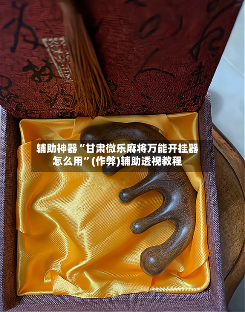 辅助神器“甘肃微乐麻将万能开挂器怎么用”(作弊)辅助透视教程