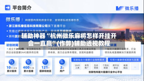 辅助神器“杭州微乐麻将怎样开挂开会一直赢”(作弊)辅助透视教程-第3张图片