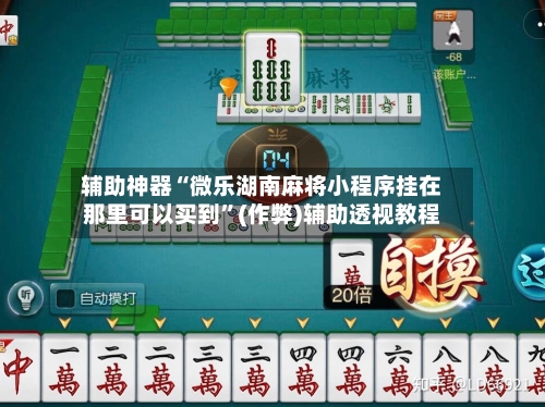 辅助神器“微乐湖南麻将小程序挂在那里可以买到”(作弊)辅助透视教程