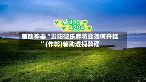 辅助神器“贵阳微乐麻将要如何开挂”(作弊)辅助透视教程-第2张图片