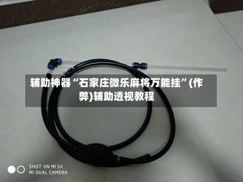 辅助神器“石家庄微乐麻将万能挂”(作弊)辅助透视教程