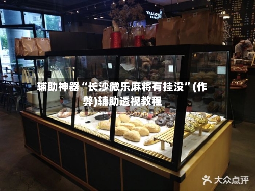辅助神器“长沙微乐麻将有挂没”(作弊)辅助透视教程-第3张图片