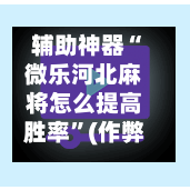 辅助神器“微乐河北麻将怎么提高胜率	”(作弊)辅助透视教程-第3张图片