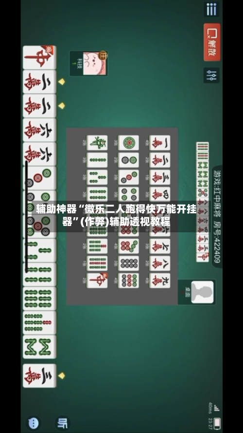 辅助神器“微乐二人跑得快万能开挂器”(作弊)辅助透视教程-第2张图片