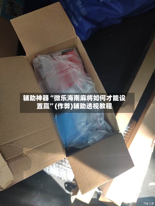 辅助神器“微乐海南麻将如何才能设置赢	”(作弊)辅助透视教程-第3张图片