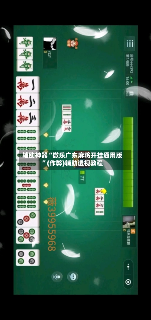辅助神器“微乐广东麻将开挂通用版”(作弊)辅助透视教程-第2张图片