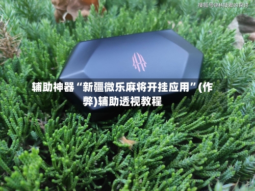 辅助神器“新疆微乐麻将开挂应用”(作弊)辅助透视教程