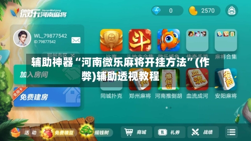 辅助神器“河南微乐麻将开挂方法”(作弊)辅助透视教程