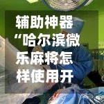 辅助神器“哈尔滨微乐麻将怎样使用开挂”(作弊)辅助透视教程