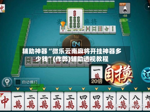 辅助神器“微乐云南麻将开挂神器多少钱”(作弊)辅助透视教程-第2张图片