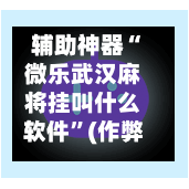 辅助神器“微乐武汉麻将挂叫什么软件”(作弊)辅助透视教程-第3张图片