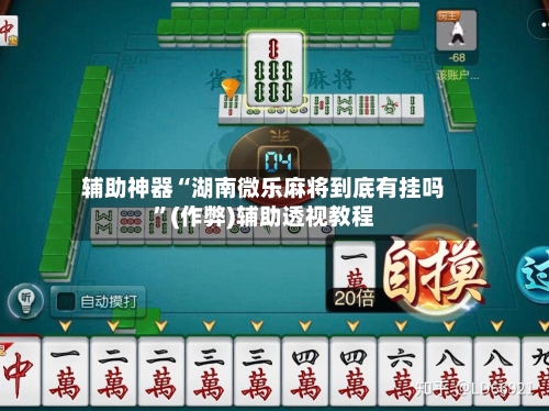 辅助神器“湖南微乐麻将到底有挂吗”(作弊)辅助透视教程-第3张图片