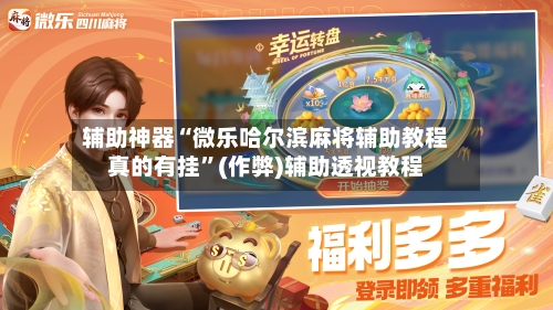 辅助神器“微乐哈尔滨麻将辅助教程真的有挂”(作弊)辅助透视教程-第2张图片
