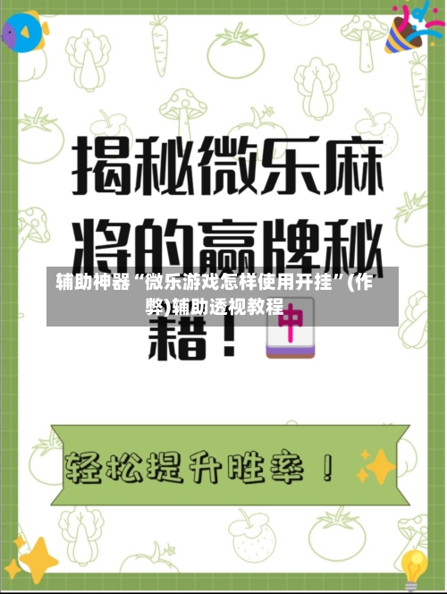 辅助神器“微乐游戏怎样使用开挂”(作弊)辅助透视教程