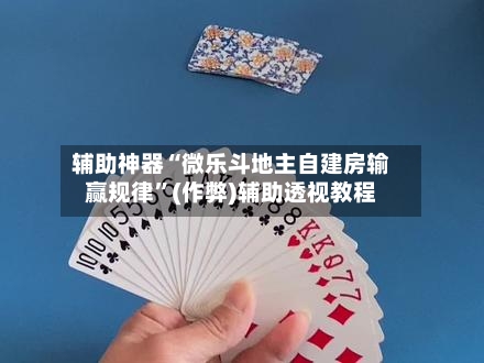 辅助神器“微乐斗地主自建房输赢规律”(作弊)辅助透视教程-第2张图片