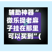 辅助神器“微乐捉老麻子挂在那里可以买到”(作弊)辅助透视教程