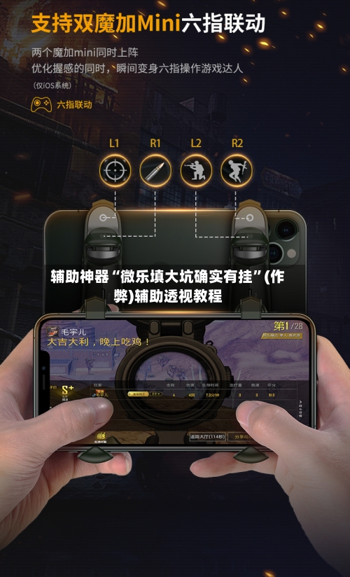 辅助神器“微乐填大坑确实有挂	”(作弊)辅助透视教程-第3张图片