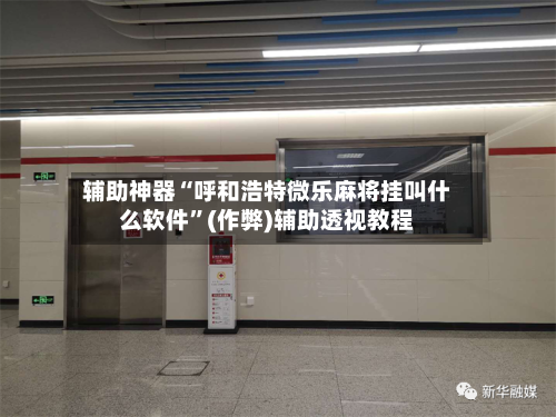 辅助神器“呼和浩特微乐麻将挂叫什么软件	”(作弊)辅助透视教程-第3张图片
