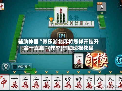 辅助神器“微乐湖北麻将怎样开挂开会一直赢”(作弊)辅助透视教程