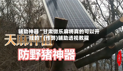 辅助神器“甘肃微乐麻将真的可以开挂的”(作弊)辅助透视教程-第3张图片