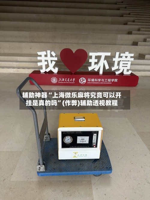 辅助神器“上海微乐麻将究竟可以开挂是真的吗”(作弊)辅助透视教程-第2张图片