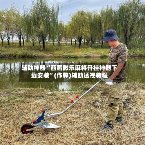 辅助神器“西藏微乐麻将开挂神器下载安装”(作弊)辅助透视教程