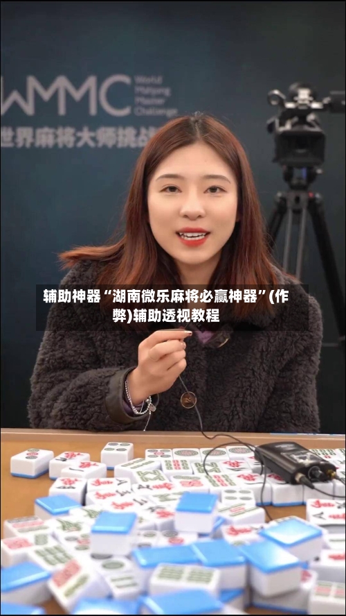 辅助神器“湖南微乐麻将必赢神器”(作弊)辅助透视教程-第3张图片