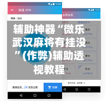 辅助神器“微乐武汉麻将有挂没”(作弊)辅助透视教程-第3张图片