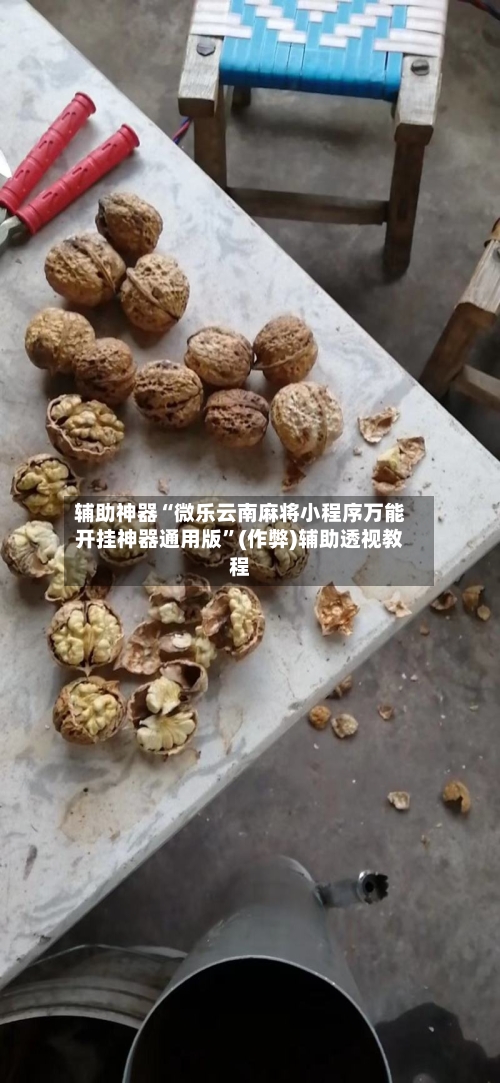 辅助神器“微乐云南麻将小程序万能开挂神器通用版”(作弊)辅助透视教程