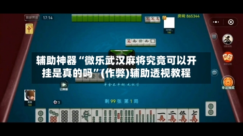 辅助神器“微乐武汉麻将究竟可以开挂是真的吗	”(作弊)辅助透视教程-第2张图片