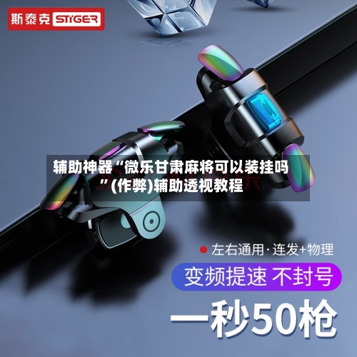 辅助神器“微乐甘肃麻将可以装挂吗	”(作弊)辅助透视教程-第3张图片