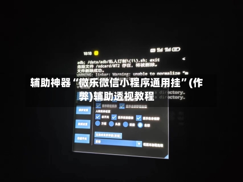 辅助神器“微乐微信小程序通用挂”(作弊)辅助透视教程-第2张图片