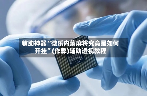 辅助神器“微乐内蒙麻将究竟是如何开挂	”(作弊)辅助透视教程-第2张图片