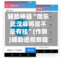 辅助神器“微乐武汉麻将是不是有挂”(作弊)辅助透视教程-第2张图片