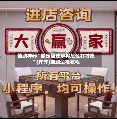辅助神器“微乐福建麻将怎么打才赢”(作弊)辅助透视教程-第2张图片