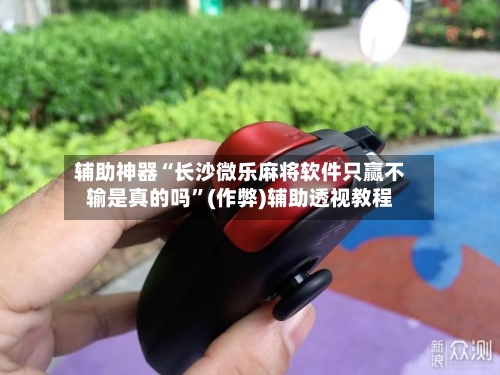 辅助神器“长沙微乐麻将软件只赢不输是真的吗”(作弊)辅助透视教程-第2张图片