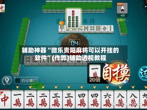 辅助神器“微乐贵阳麻将可以开挂的软件”(作弊)辅助透视教程