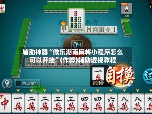 辅助神器“微乐湖南麻将小程序怎么可以开挂”(作弊)辅助透视教程