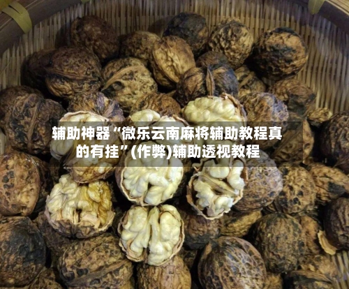 辅助神器“微乐云南麻将辅助教程真的有挂”(作弊)辅助透视教程