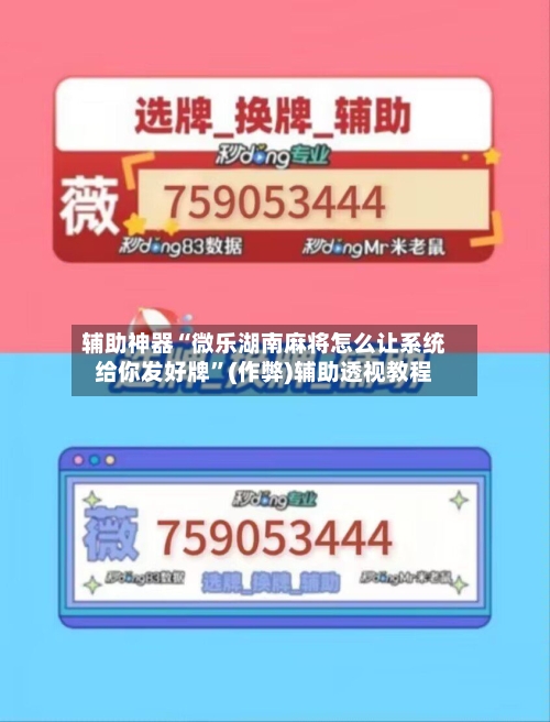 辅助神器“微乐湖南麻将怎么让系统给你发好牌”(作弊)辅助透视教程-第3张图片